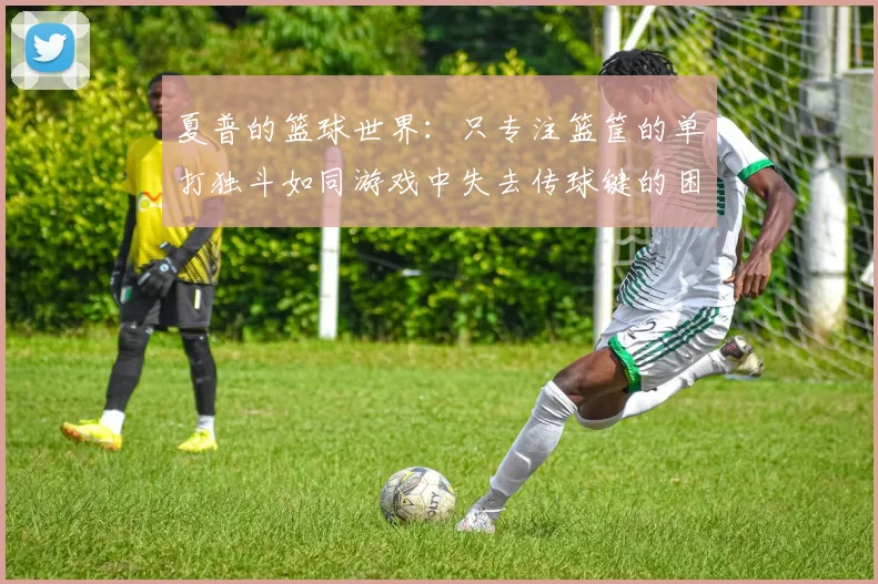 夏普的篮球世界：只专注篮筐的单打独斗如同游戏中失去传球键的困境