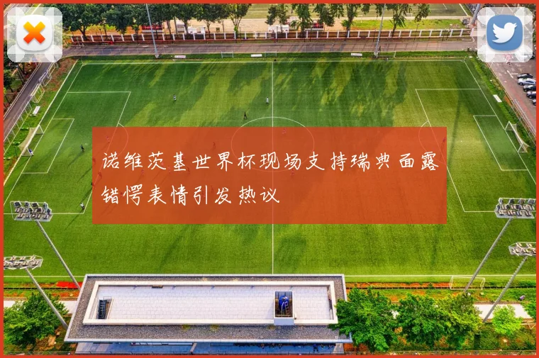 诺维茨基世界杯现场支持瑞典面露错愕表情引发热议