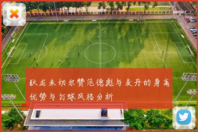 狄龙米切尔赞范德彪与麦丹的身高优势与打球风格分析