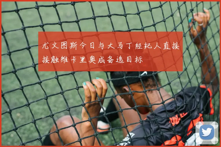 尤文图斯今日与大马丁经纪人直接接触维卡里奥成备选目标